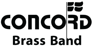 CBB gennemsigtig sort